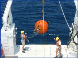 Ocean Data Projects